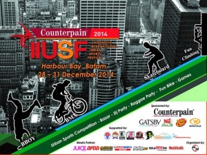 Poster Counterpain IIUSF 2014